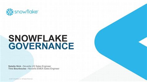 Snowflake Data Governance Ppt