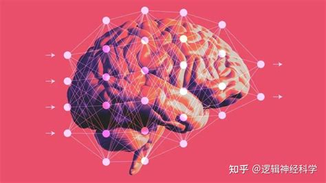 Neuroai 读书会启动︱探索神经科学与人工智能的前沿交叉领域 知乎