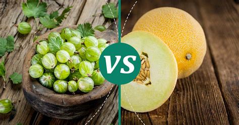 Melon Vs Gooseberry Nutrition Comparison