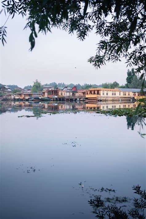 Dal is a Lake in Srinagar the Summer Capital of Jammu and Kashmir. Stock Photo - Image of hotel ...