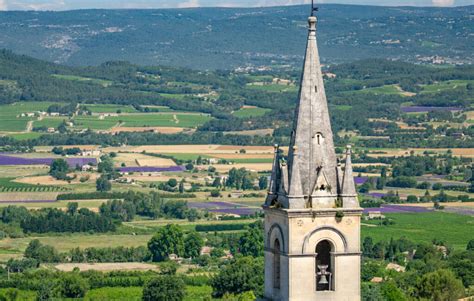 Visiting the Luberon Lavender Fields of Provence, France