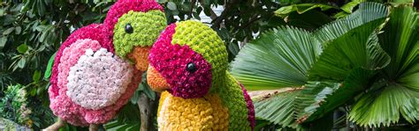 jin group investment company website