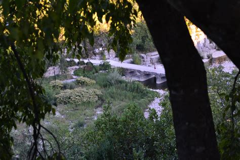 Free Images Tree Nature Forest Bridge Sunlight Leaf Flower