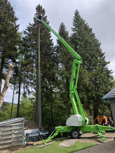 Tree Work And Forestry Perthshire Scotland Central Forestry