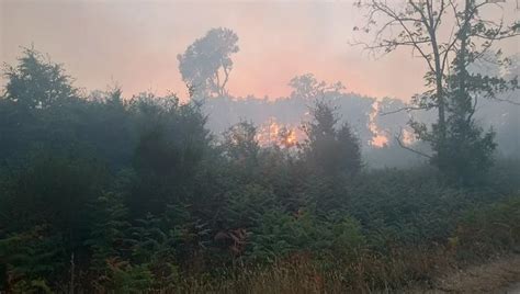 Incendies en Ille et Vilaine une année inédite déjà en terme d