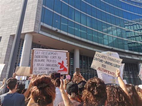 Mila Persone A Milano Contro L Uccisione Dei Maiali Di Cuori Liberi