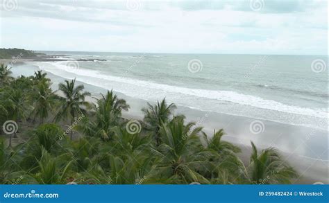 Un Oceano Di Fianco A Una Spiaggia Di Playa Junquillal Con Palme In