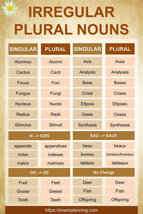 Sentences With Irregular Plural Nouns