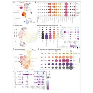 Single Cell Transcriptional Heterogeneity Of Immune Subsets Cells Were