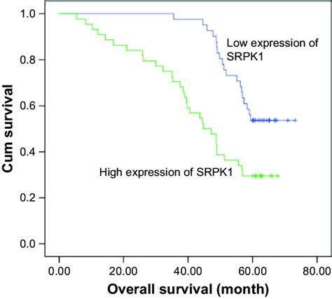 Kaplan Meier Survival Curves Of Patients With Crc Based On SrPK1