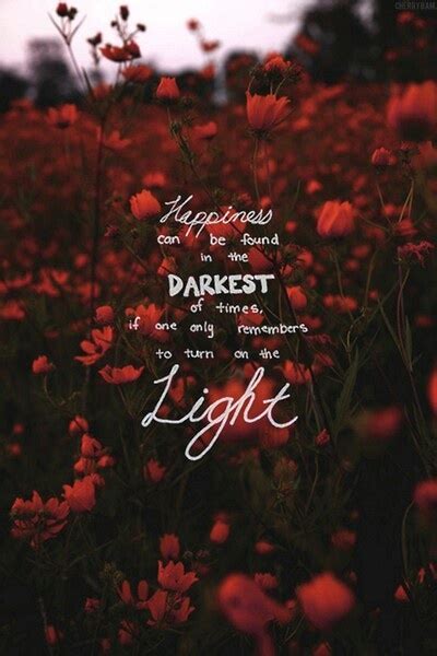 Albus Dumbledore Quotes Happiness. QuotesGram