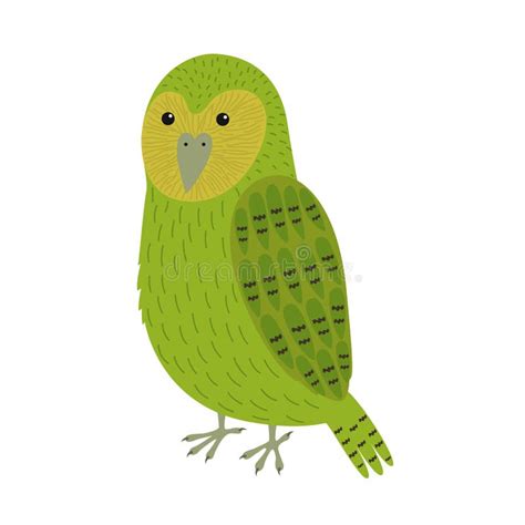 Parrot kakapo stock illustration. Illustration of door - 11271522