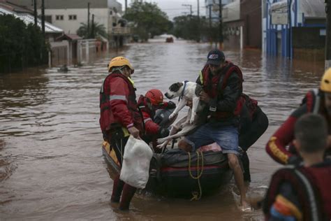 Quase 10 mil animais são resgatados durante as enchentes no Rio Grande