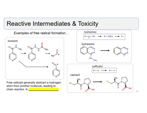 Q4 PDA Drug Toxicity Final Flashcards Quizlet