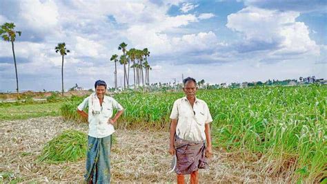 Pm Kisan Yojana इन किसानों के खाते में नहीं आएगी 12वीं किस्त जानें