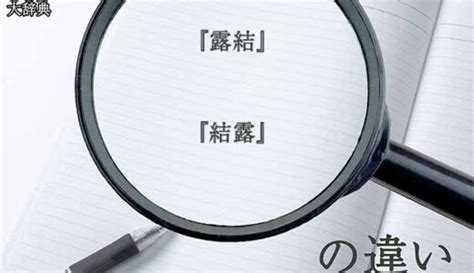 『占有訴権』と『物権的請求権』の意味と違いとは？分かりやすく講義 まるまる方大辞典