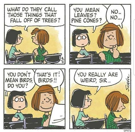 Pin by Julie Bennett on Snoop Dawg | Snoopy funny, Snoopy cartoon ...