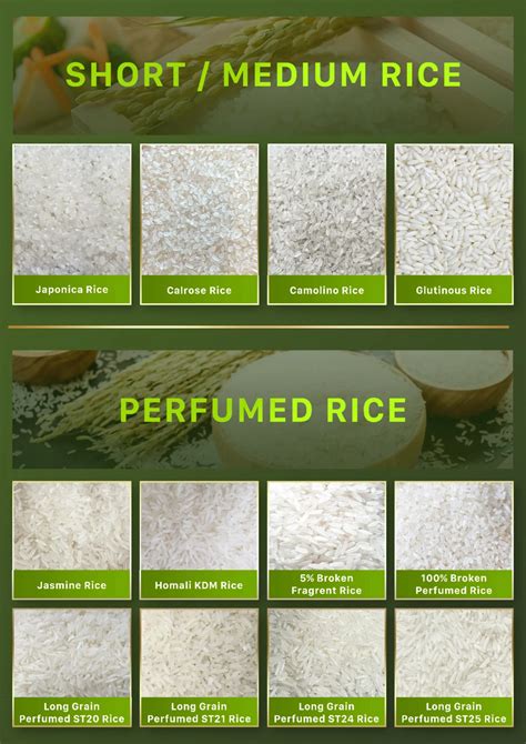 Wholesale Thai Jasmine Rice Thailand Patum Rice Broken Thai