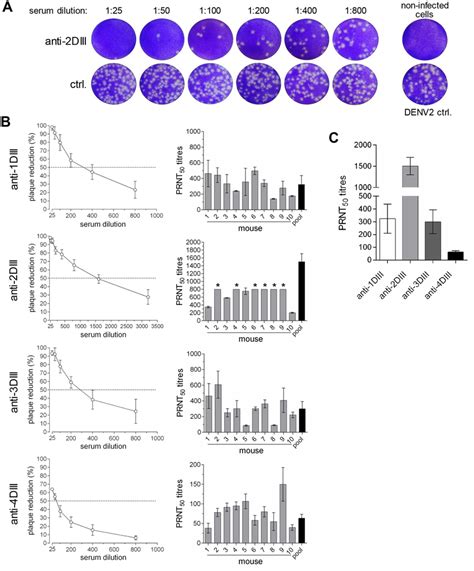 Virus Neutralising Activity Of Anti Diii Sera A Plaque Reduction