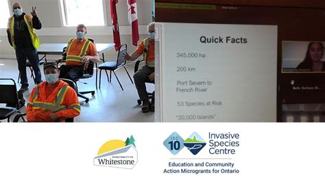 Invasive Species Centre Microgrant Feature Municipality Of Whitestone Invasive Species