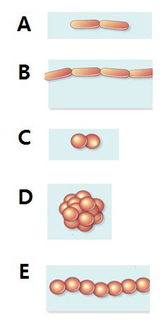 Chapter 4 PCQ and PCR part 2 Flashcards | Quizlet