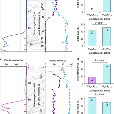 Evolution Of Sex Determination In Gasterosteidae Fishes Hypothetical