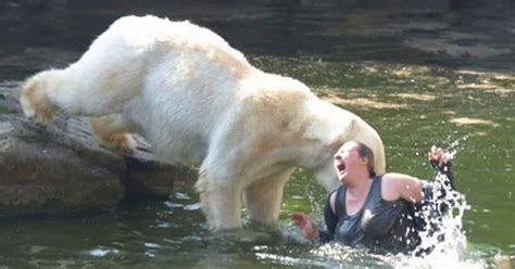 Shocking Pictures And Video Of Woman Mauled By Polar Bear At Berlin Zoo