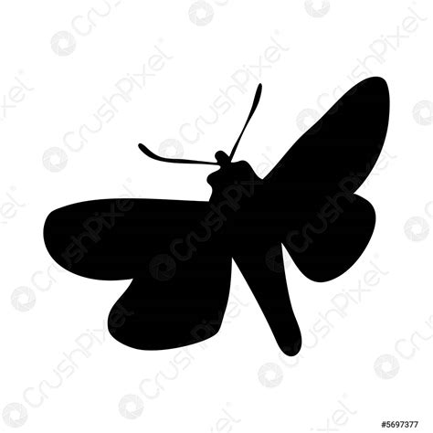 Moth Silhouette Stock Vector 5697377 Crushpixel