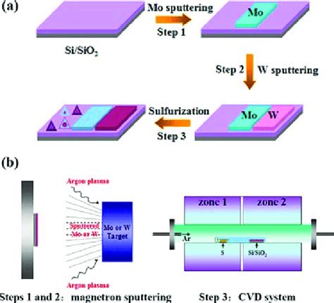 A Schematic Of The Growth Steps For The 2d Tmdc Heterostructures B