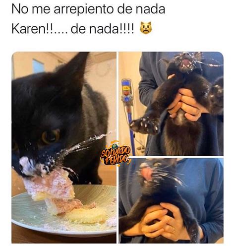 No Me Arrepiento De Nada Karen De Nada Memes