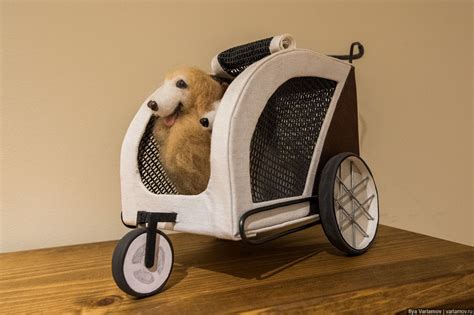 Собачьи страсти в Японии: коляски, наряды и магазины для пёсиков — Teletype