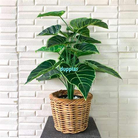 Jual Pohon Daun Alocasia X18 Semi Latex Artificial Cover Pot Rotan