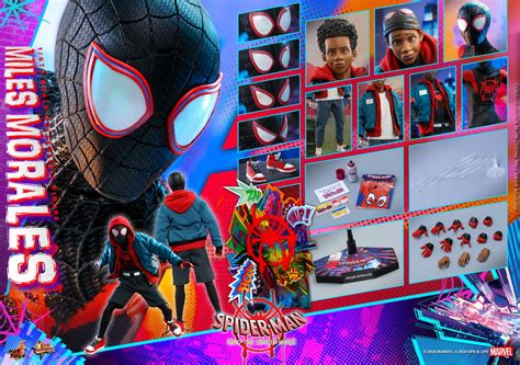 Hot Toys MMS Spider Man Into The Spider Verse Th Scale Miles Morales Collectible