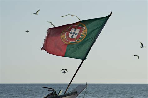 Dylan Sem Futuro Vazado 5
