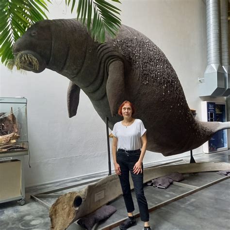 Die Entdeckung Des Nordpazifiks Eine Geschichte I 7
