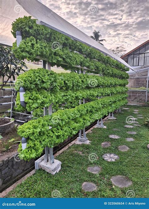 Burial near me options are limited as local land costs increase 14