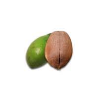 Mamoncillo Fruit | Nutrition facts-Mamoncillo Fruit | Health benefits