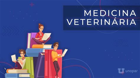 Quanto ganha um médico veterinário? Descubra os salários médios aqui!