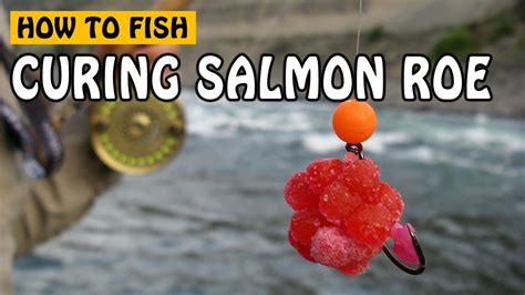 How To Cure Salmon Roe For Bait When Fishing For Salmon And Steelhead