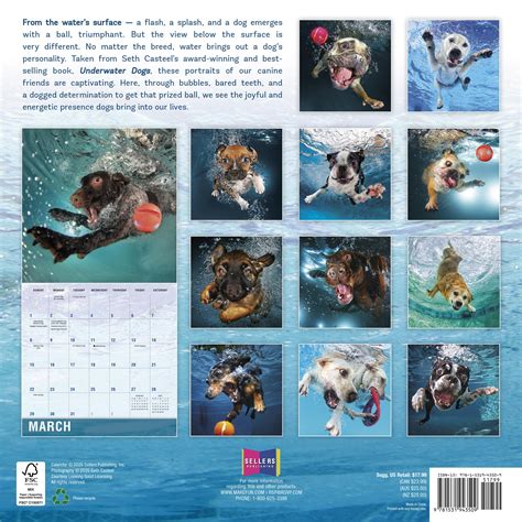 Underwater Dogs 2017 Wall Calendar 7