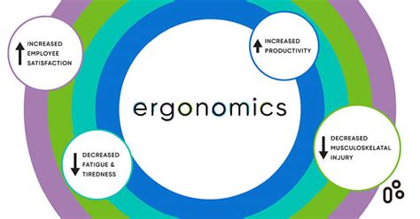 The Importance Of Ergonomics In The Workplace TiMOTION