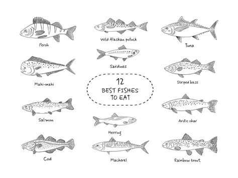 Hand drawn fish icon set in sketch style. Simple vector isolated ...