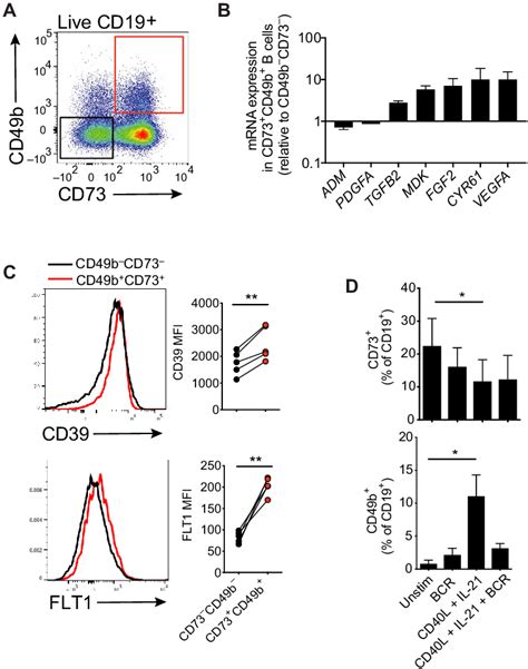 Cd49b Cd73 B Cells Form A Distinct Population Of B Cells And