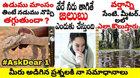 🔰 Top Interesting And Unknown Facts In Telugu Telugu Facts New Episode