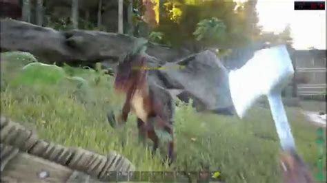 Ark Survival Evolved Escudo E Espada Youtube