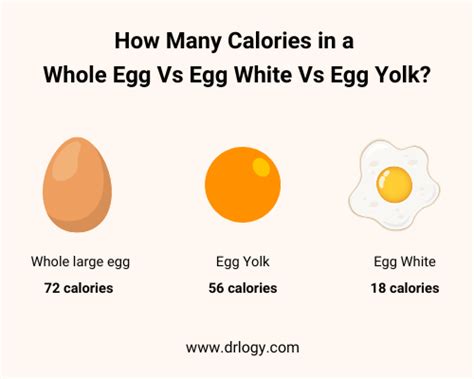 Egg Nutrition Facts And Health Benefits