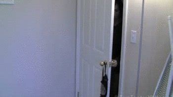 IRONING FETISH Videos And Porn Clips Clips Sale