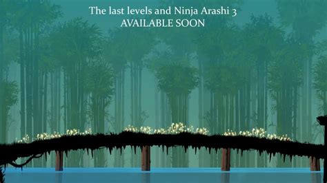 Ninja Arashi 2 Last Levels And Ninja Arashi 3 Coming Soon YouTube