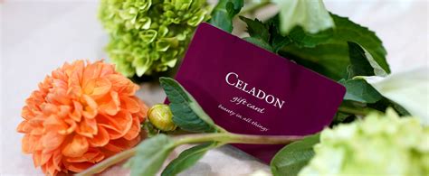 Valentine's Day Instant Spa Gift Cards — Celadon Spa & Salon