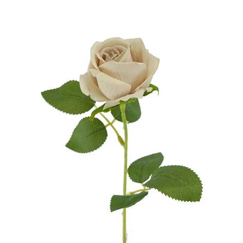Mini Rose Katie Nude Cm Desflora